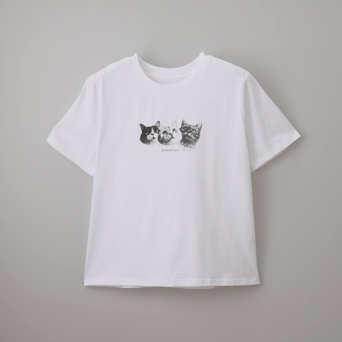 猫フォトTシャツ (65149) | ニトリネット【公式】 家具・インテリア通販