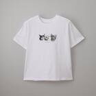 【ニトリネット先行販売】猫フォトＴシャツ　(65149) 14枚目画像