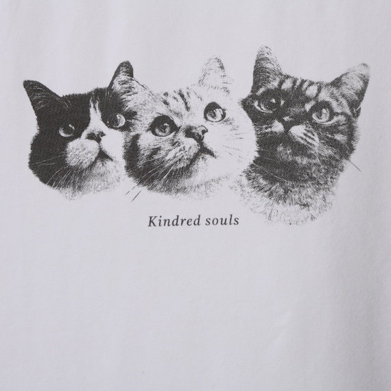 【ニトリネット先行販売】猫フォトTシャツ (65149) 16枚目画像