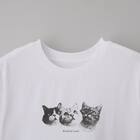 【ニトリネット先行販売】猫フォトＴシャツ　(65149) 17枚目画像
