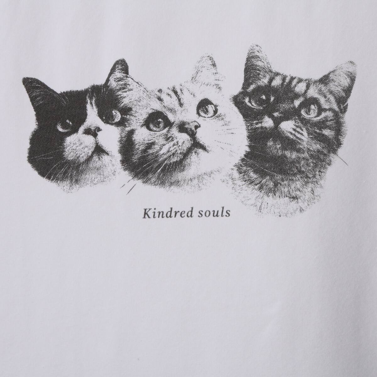 猫フォトTシャツ (65149) | ニトリネット【公式】 家具・インテリア通販