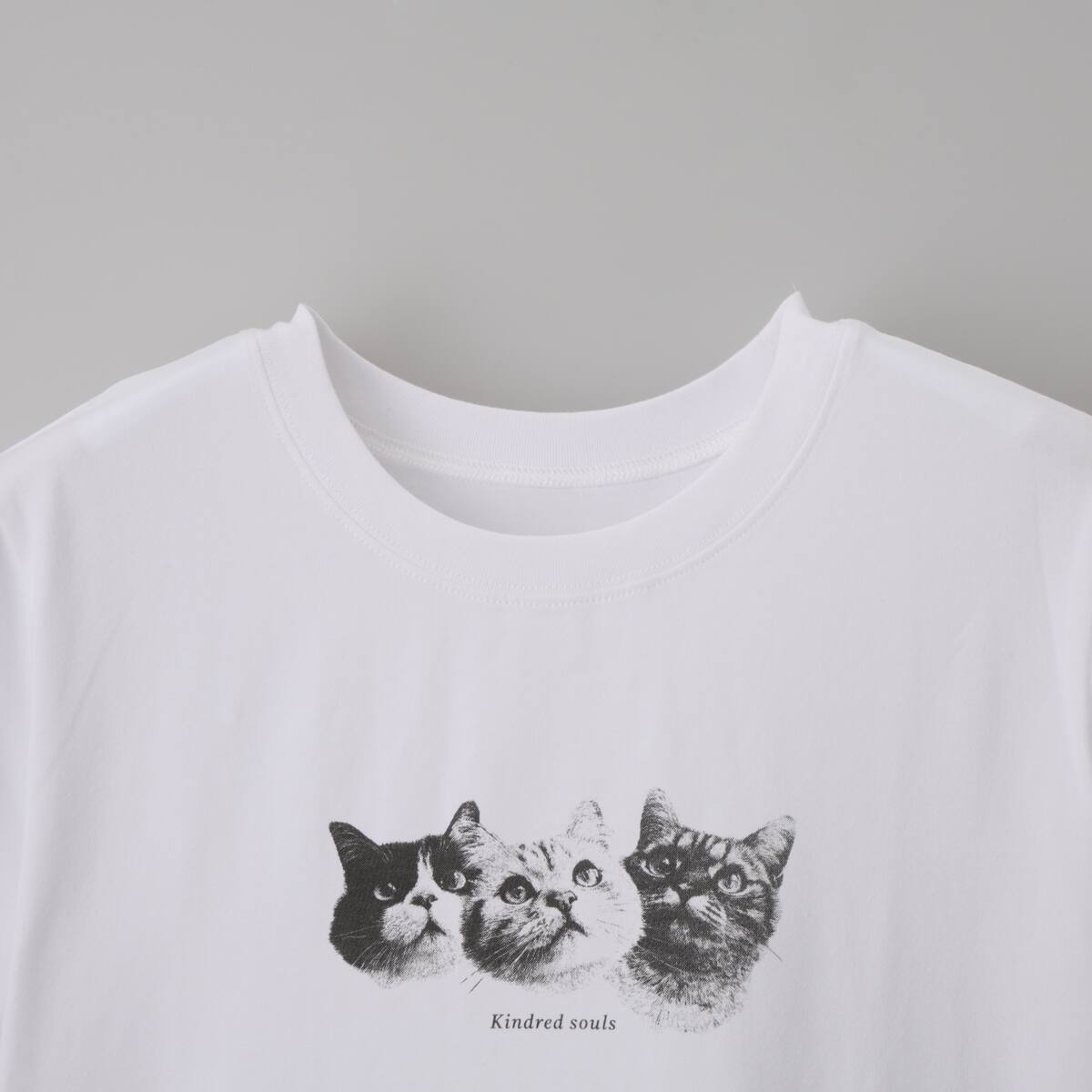 猫フォトTシャツ (65149) | ニトリネット【公式】 家具・インテリア通販