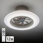 ルミナスLED ライト付き シーリングファン(12J) 1枚目画像