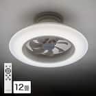 ルミナスLED ライト付き シーリングファン(12J) 1枚目画像