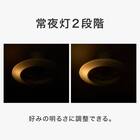 ルミナスLED ライト付き シーリングファン(12J) 8枚目画像