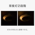 ルミナスLED ライト付き シーリングファン(12J) 8枚目画像