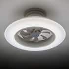 ルミナスLED ライト付き シーリングファン(12J) 13枚目画像