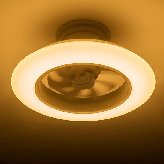 ルミナスLED ライト付き シーリングファン(12J) 17枚目画像