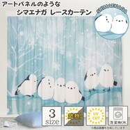 シマエナガエバレース
