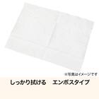 スニーカー用クリーナーウェットシート(15枚×2個 LEC25) 5枚目画像