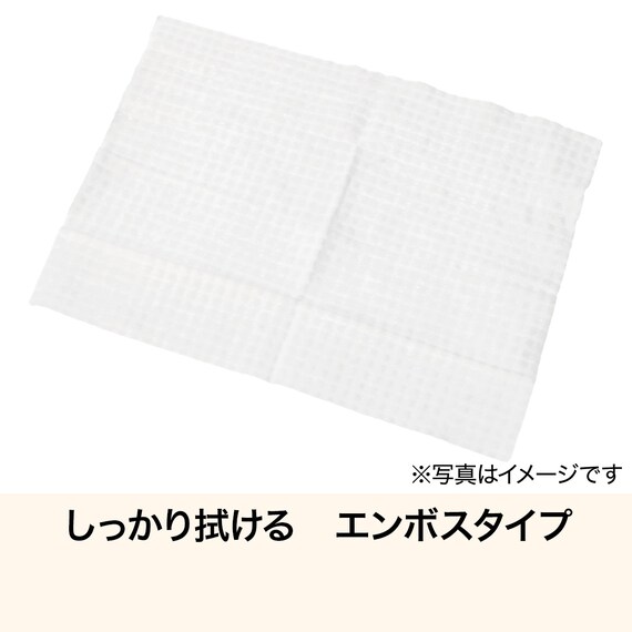 スニーカー用クリーナーウェットシート(15枚×2個 LEC25) 5枚目画像