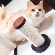 WNキャットスティック(つめみがきステップ)