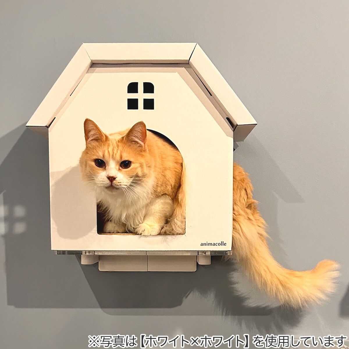 ねこさま限定　ニトリ キャットステップanimacolle(キャットトンネル) | ニトリネット