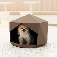 ペットベッド coconel