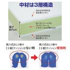 エネタン®クッションランバーサポーセット AKレッド 3枚目画像