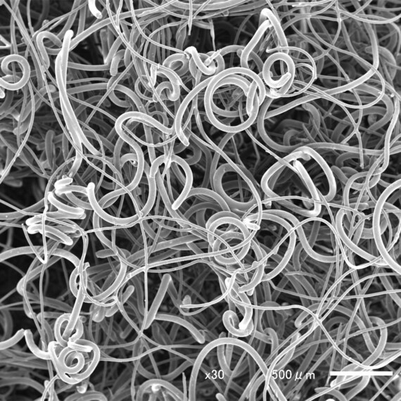 削らず落とす使い捨てスポンジ(14枚入り) 14枚目画像