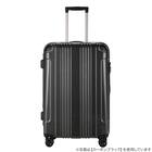 拡張 ジッパータイプ キャリーケース 32-38L (カーボンホワイト) 6枚目画像