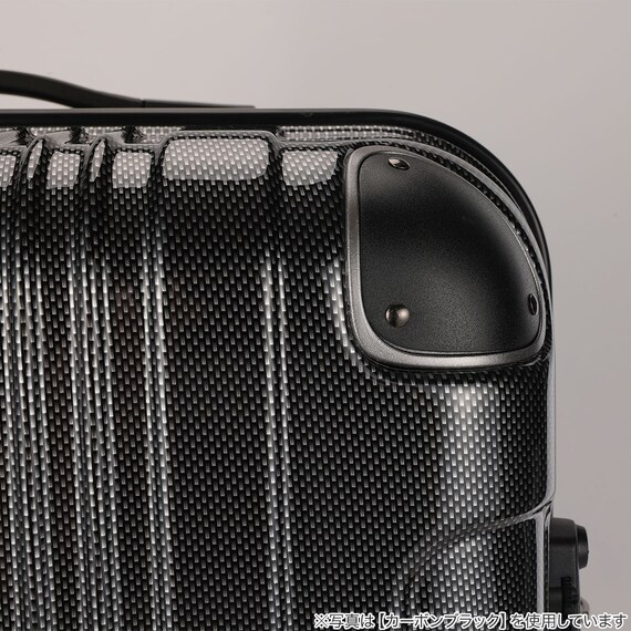 拡張 ジッパータイプ キャリーケース 32-38L (カーボンホワイト) 9枚目画像