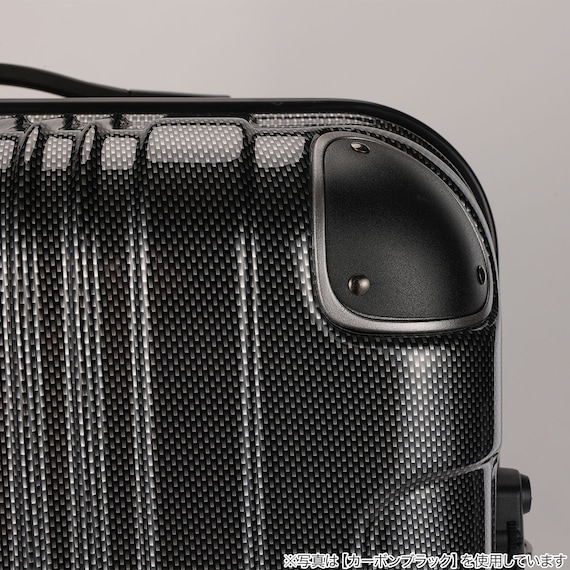 拡張 ジッパータイプ キャリーケース 32-38L (カーボンホワイト) 9枚目画像