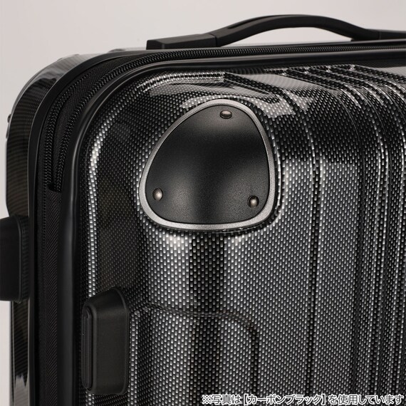 拡張 ジッパータイプ キャリーケース 32-38L (カーボンホワイト) 11枚目画像