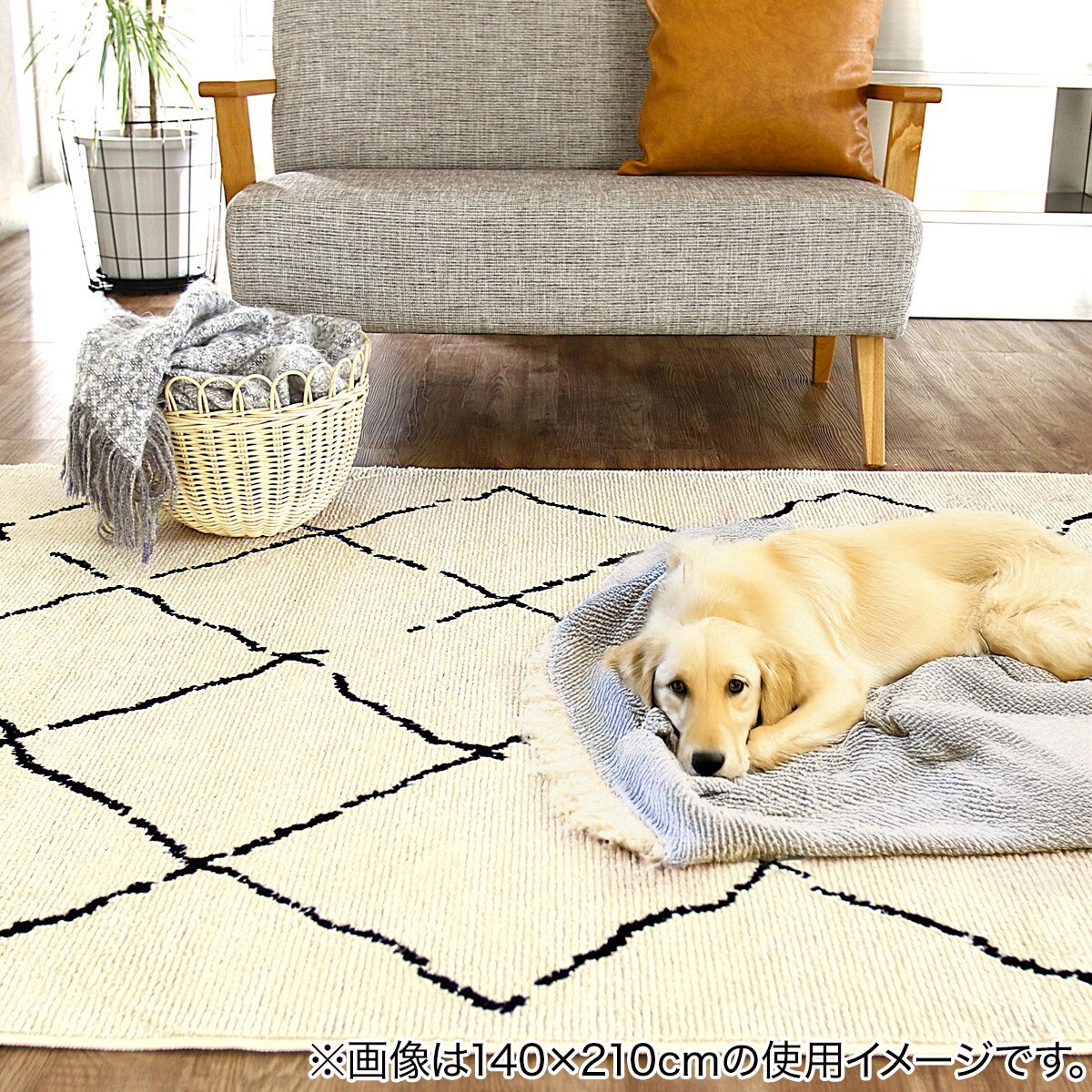 ペット対応】ベニワレン柄の高機能ラグ 210×210cm (FRL アイボリー
