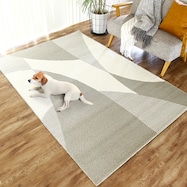 【ペット対応】幾何学柄の高機能ラグ (MRL)