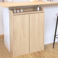 薄型カウンター下収納 扉タイプ (幅60cm)【期間限定価格:11/27~1/5まで】