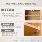 ストッカー(エトナ60DD LBR) 3枚目画像