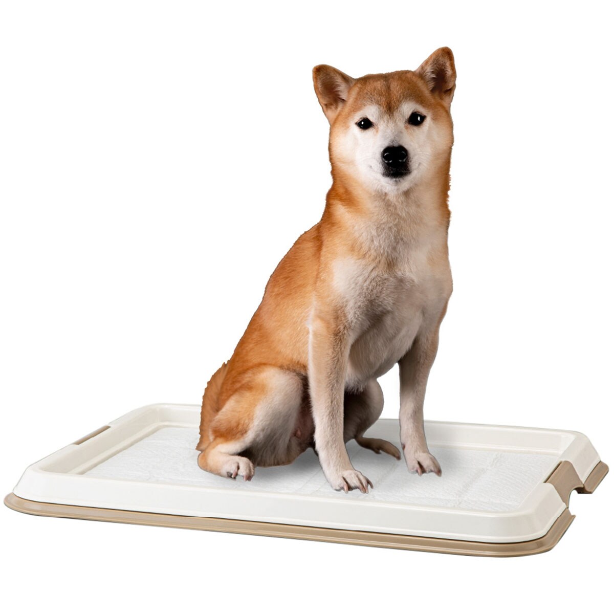犬用トレー(ワイドサイズ)【島忠ホームズ商品】 | ニトリネット【公式