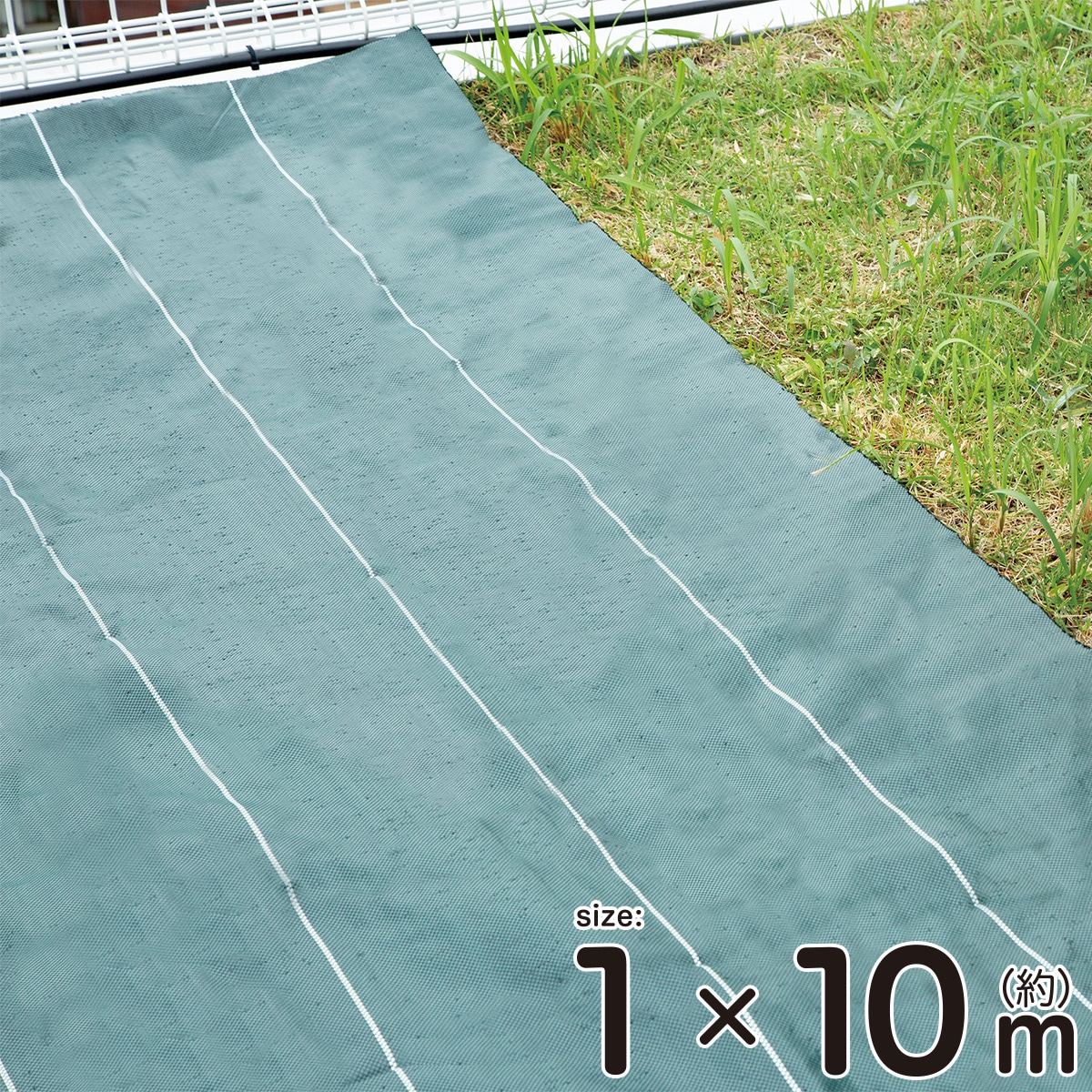 高密度防草シート(1m×10m グリーン)【島忠ホームズ商品】 | ニトリ