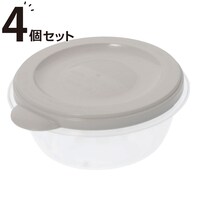 ごはん専用冷凍保存容器 一膳 (4個入り)