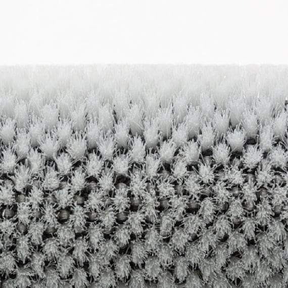 フローリングホーキぱくぱく 20枚目画像