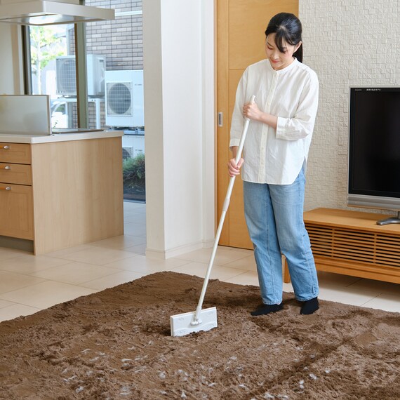 カーペットが掃ける 伸縮柄 フローリングワイパー 2枚目画像
