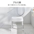 マグネット お風呂グッズ3点セット SH30/AL01(風呂いす高さ30cm) 9枚目画像