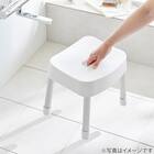 マグネット お風呂グッズ3点セット SH30/AL01(風呂いす高さ30cm) 13枚目画像