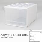 クローゼットケース セレスFD (L/高さ30cm) 1個 1枚目画像