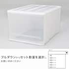 クローゼットケース セレスFD (L/高さ30cm) 1個 1枚目画像