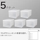 クローゼットケース セレスFD (L/高さ30cm) 5個セット 1枚目画像