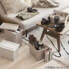 いれと庫interior M (ベージュ) 4枚目画像