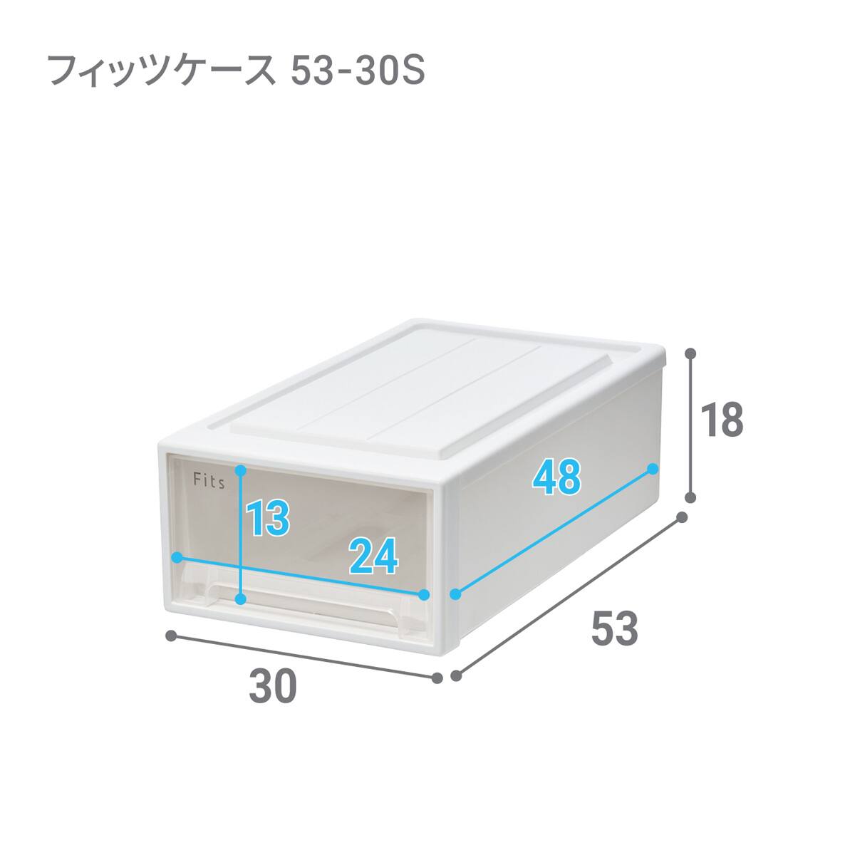 奥行53cm】クローゼット用フィッツケース2個組(幅30×高さ18cm