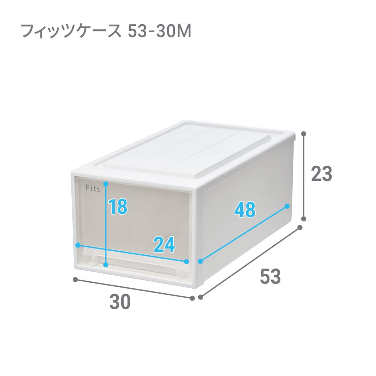 奥行53cm】クローゼット用フィッツケース2個組(幅30×高さ23cm