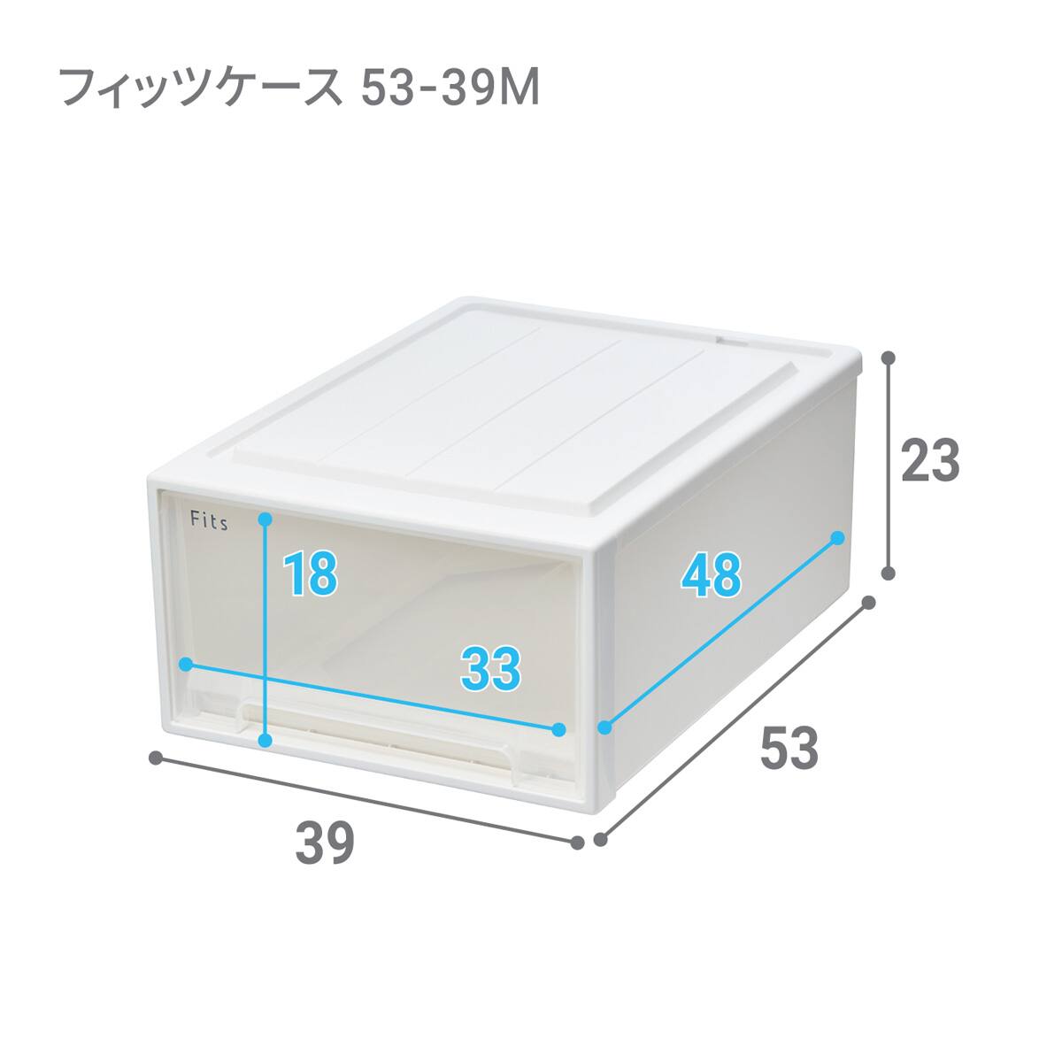 奥行53cm】クローゼット用フィッツケース2個組(幅39×高さ23cm