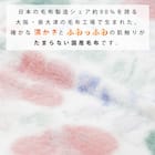 国産野いちご柄ハーフケット (AENI) 3枚目画像