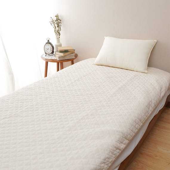 抗菌防臭加工綿入りやわらかパイルの国産ポコポコ敷きパッド (S/IV) 1枚目画像