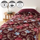 国産襟元3重マイヤー合わせ毛布 (BR S EN) 1枚目画像