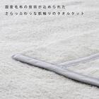 国産マイヤータオルケット(TP S) 5枚目画像