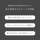 国産マイヤータオルケット(TP S) 6枚目画像