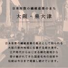 国産マイヤータオルケット(TP S) 12枚目画像