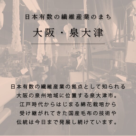 国産マイヤータオルケット(TP S) 12枚目画像