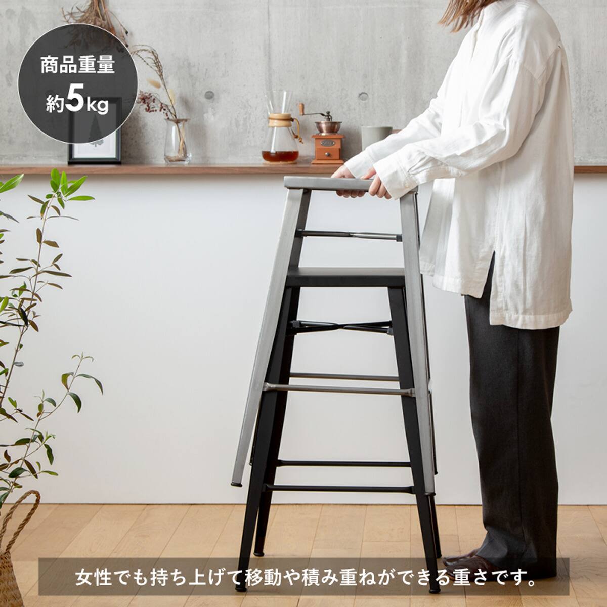 カウンターチェア2脚セット (IW318 クリア) | ニトリネット【公式